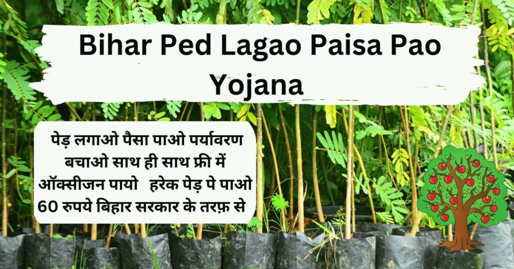 Bihar Ped Lagao Paisa Pao Yojana